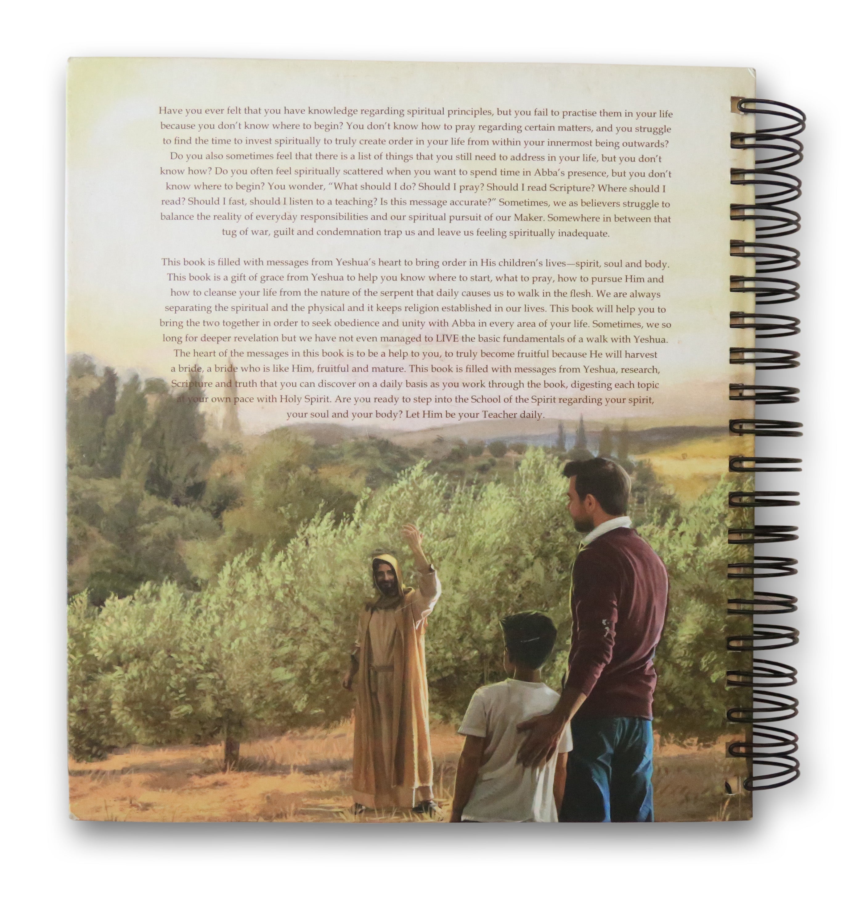 School of the Spirit (Hardcover)